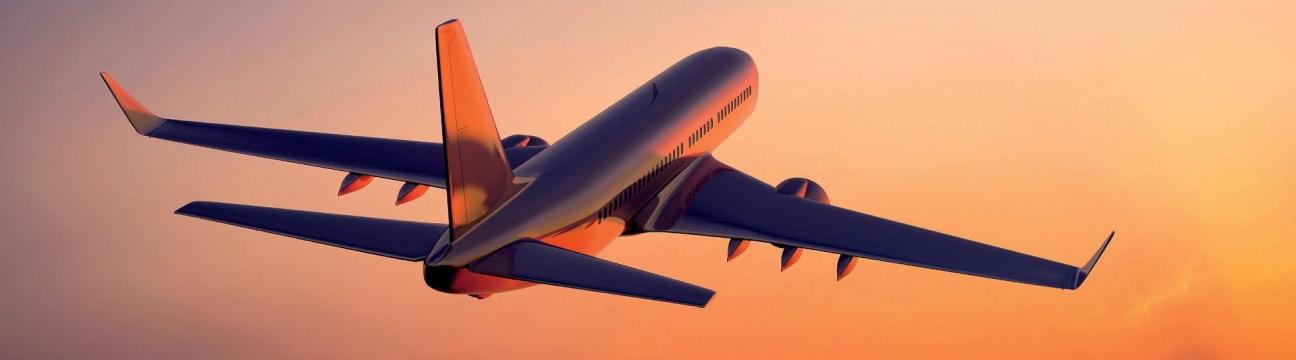 Buzzwing: Travel