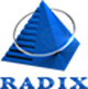 Logo of Radixweb &ndash; An IT Software and App Development Company