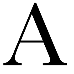 allenfinn