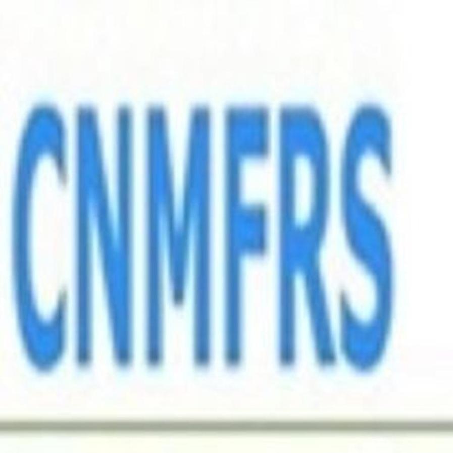 chinamfrs