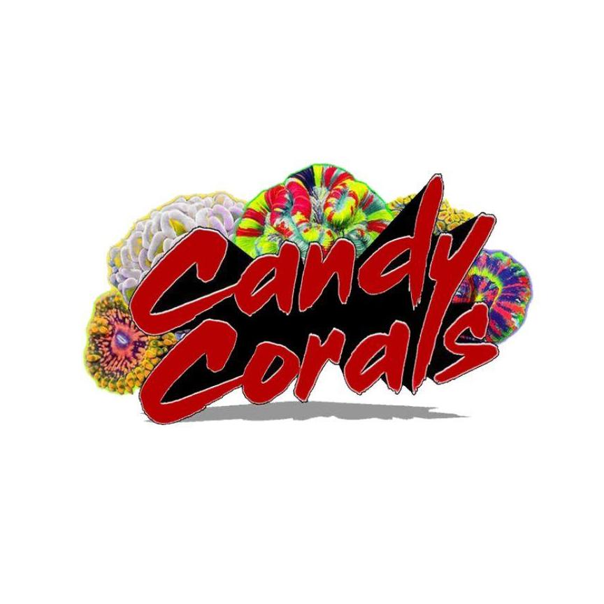 candycorals